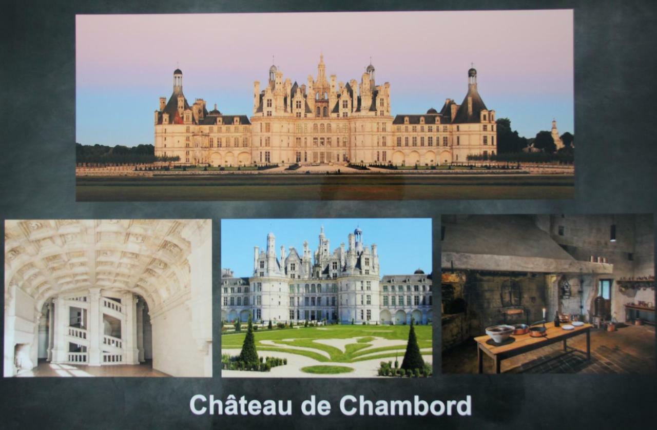 Sur Les Toits D'Amboise Apartment Exterior foto